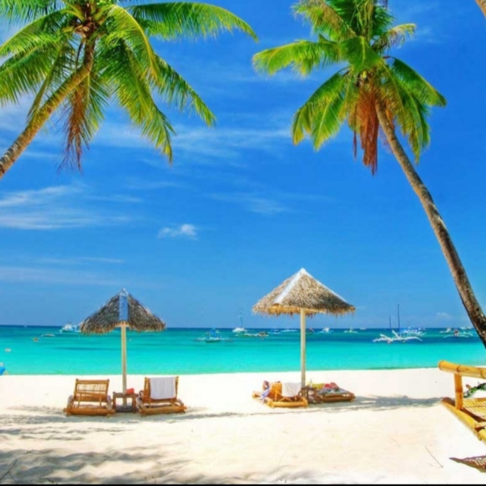 Meet your Posher, Erick